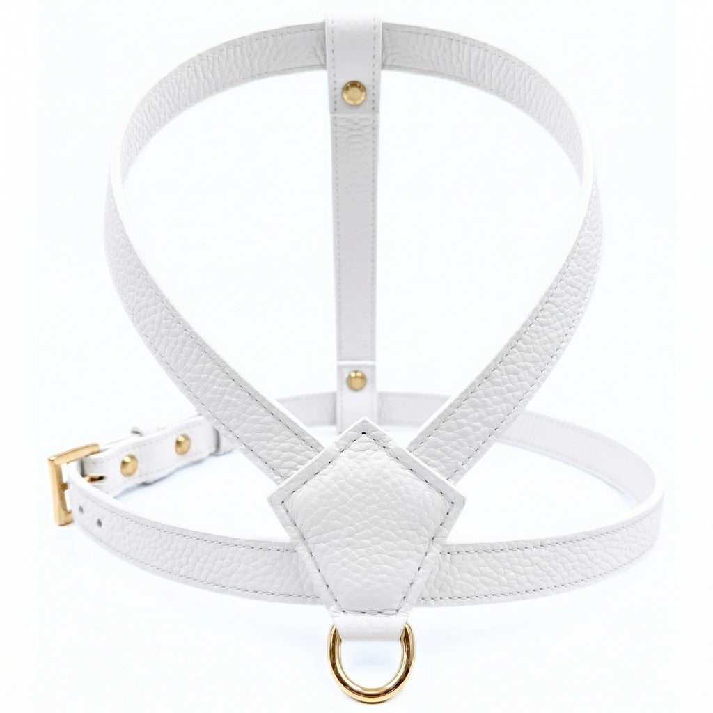White - Gold