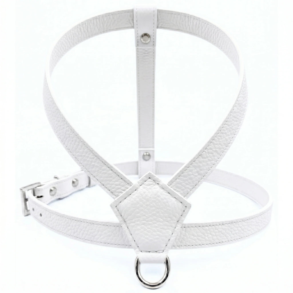 White - Silver