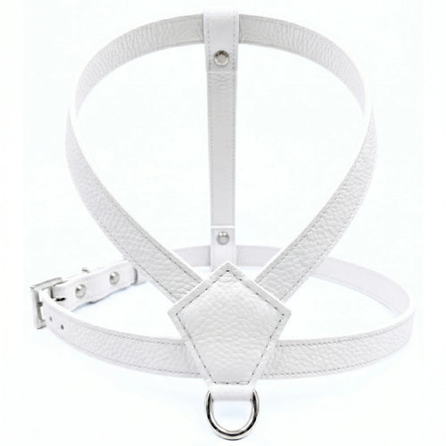 Bella Harness