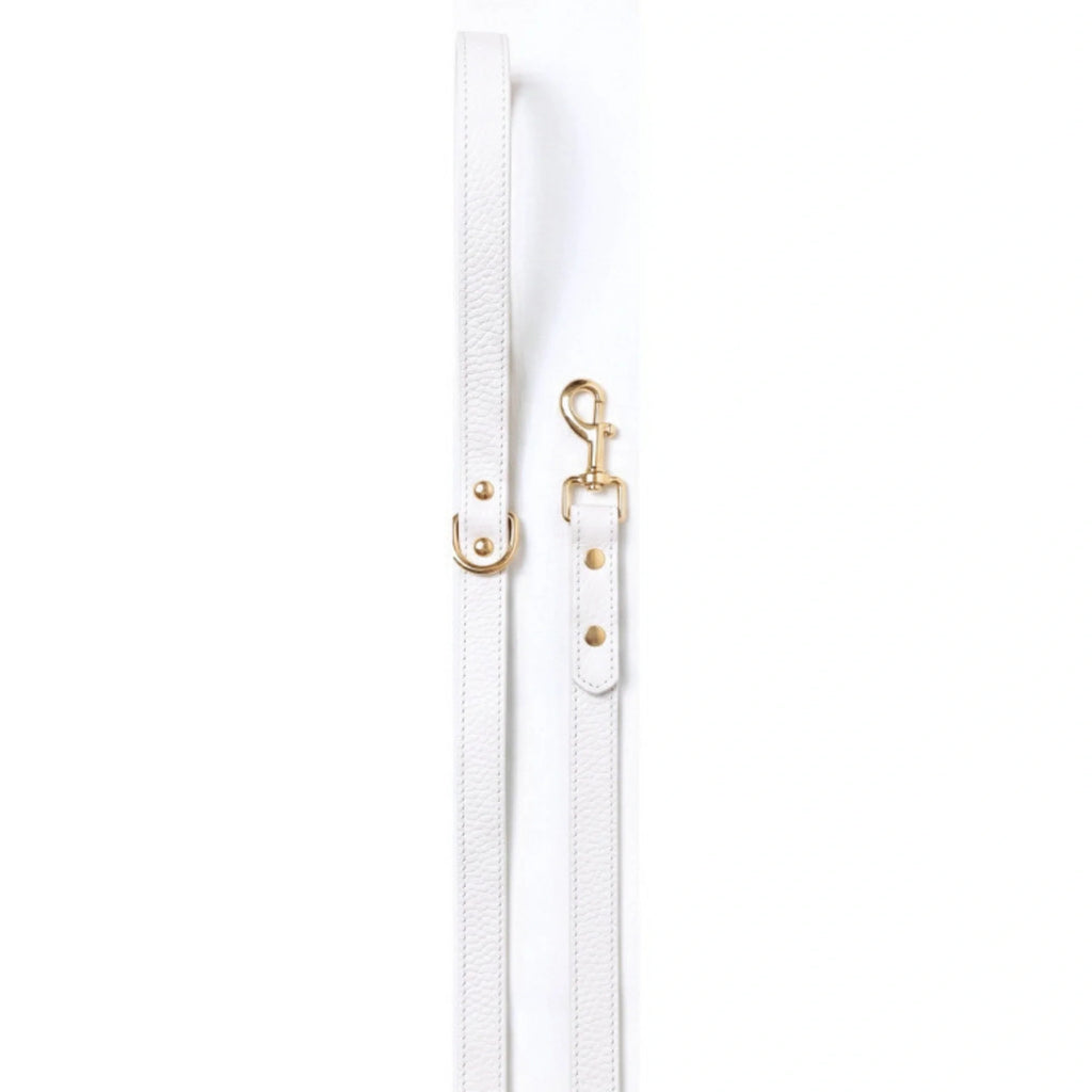 White - Gold
