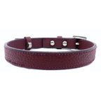 Burgundy - Silver