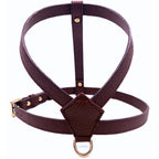 Burgundy - Gold
