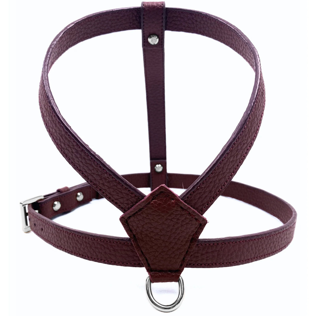Burgundy - Silver