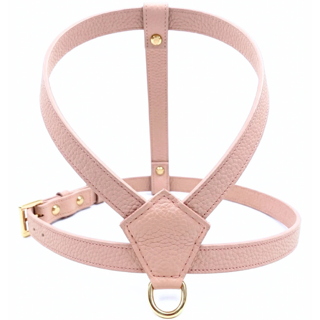 Powder Pink - Gold