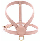 Powder Pink - Gold