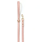 Powder Pink - Gold