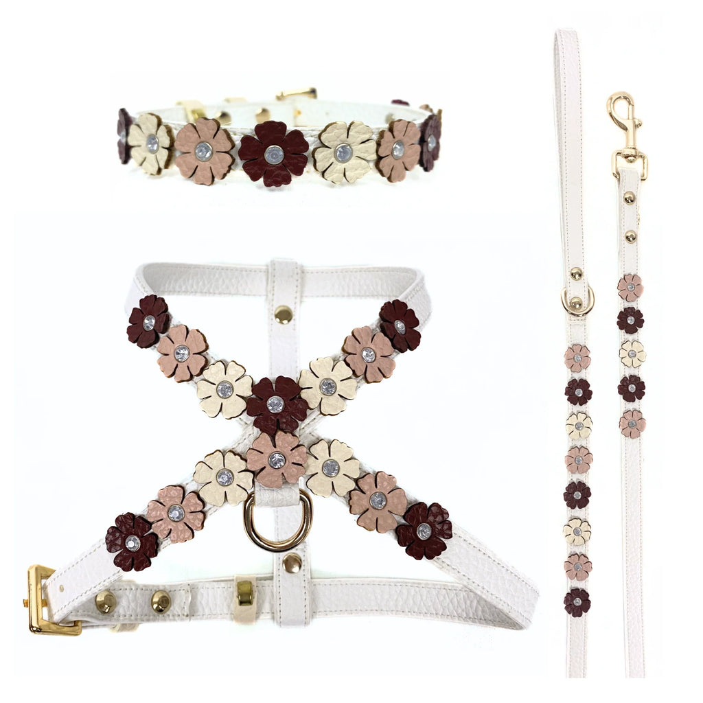White - Gold