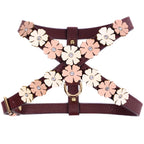 Burgundy - Gold