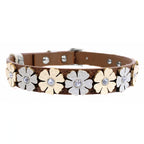 Brown - Silver