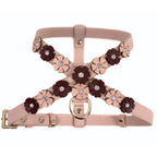 Powder Pink - Burgundy - Gold