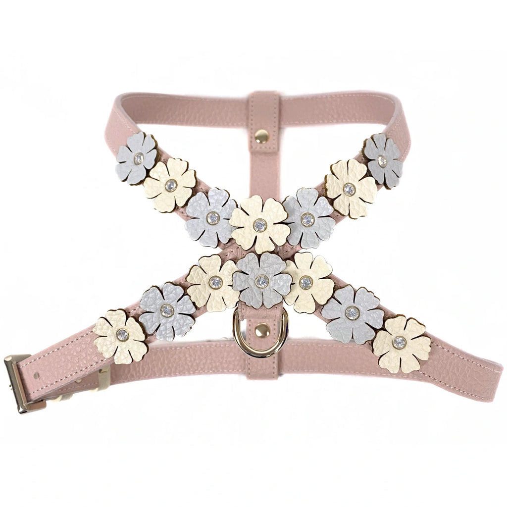 Powder Pink - Blue - Gold