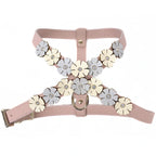 Powder Pink - Blue - Gold