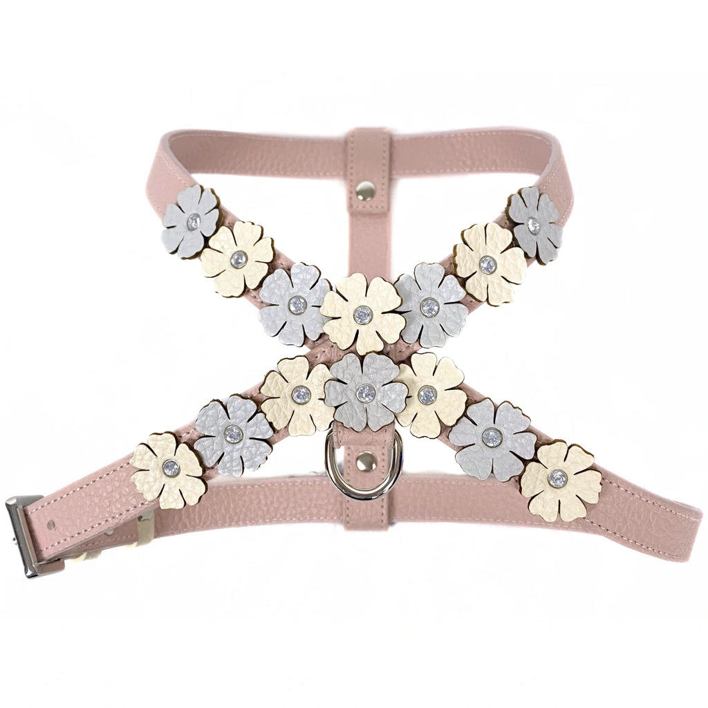 Powder Pink - Blue - Silver