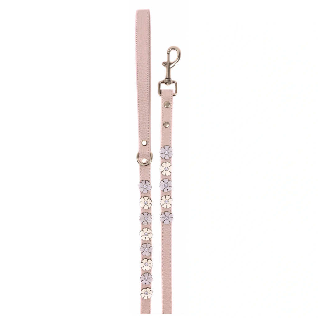 Powder Pink - Blue - Gold - deri köpek gezdirme kayışı