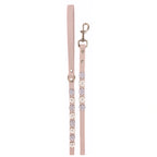 Powder Pink - Blue - Gold - deri köpek gezdirme kayışı