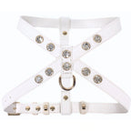 White - Gold