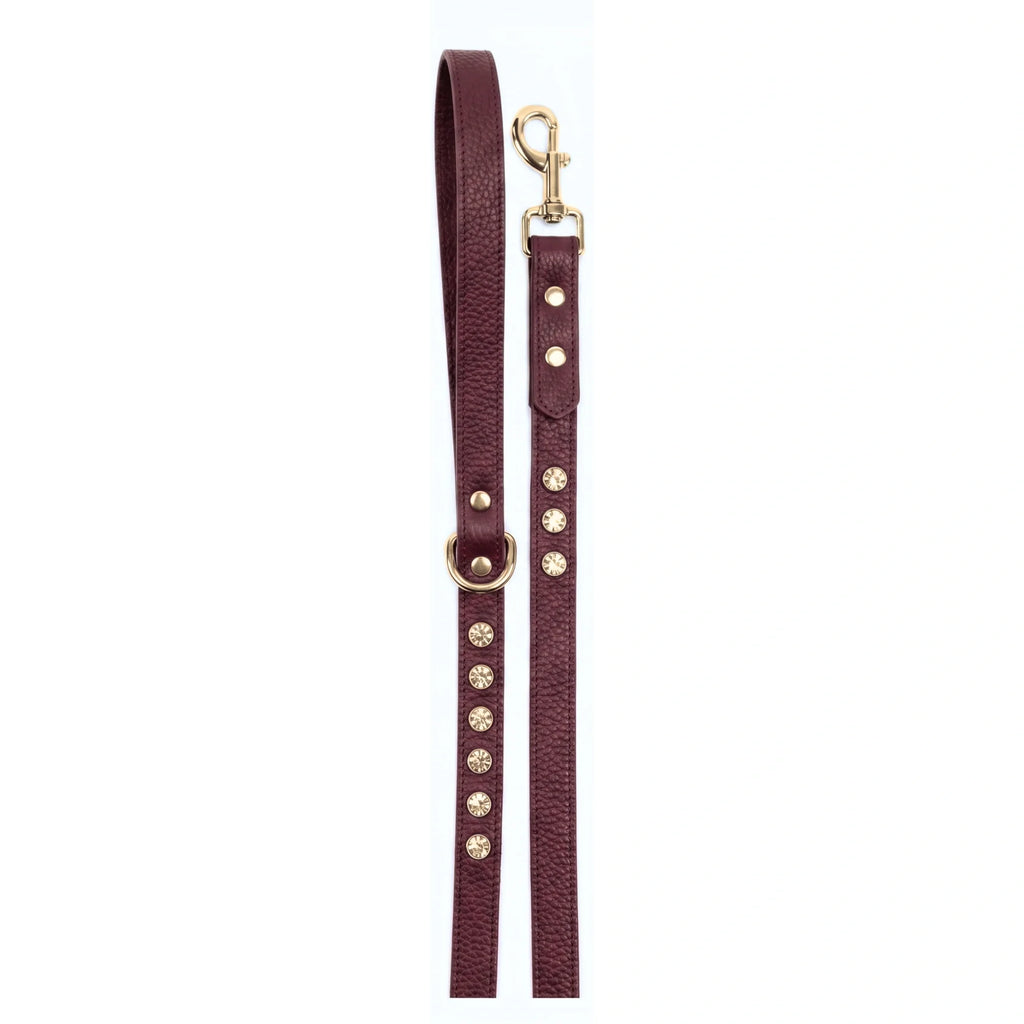 Burgundy - Gold - deri köpek gezdirme kayışı