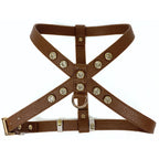 Brown - Gold