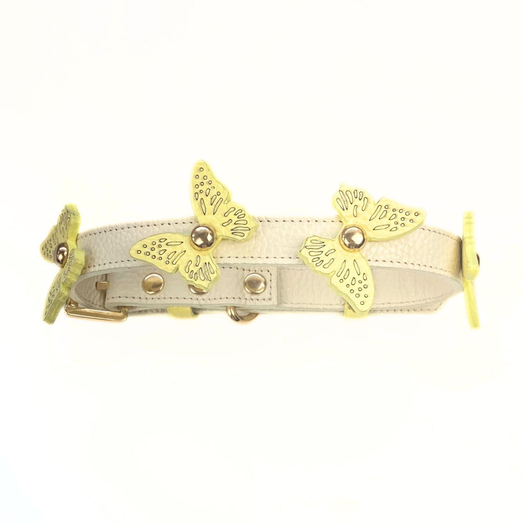 Butter Yellow - Gold