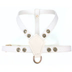 White - Gold